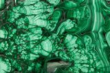 Flowery Polished Malachite Slab - D R Congo #379803-1